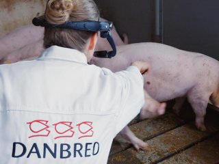 DanBred prsenterer ny remote support lsning p EuroTier messen i Hannover