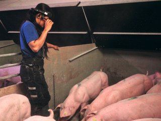 PRESSEMEDDELELSE fra RealWear ang. DanBred lancering